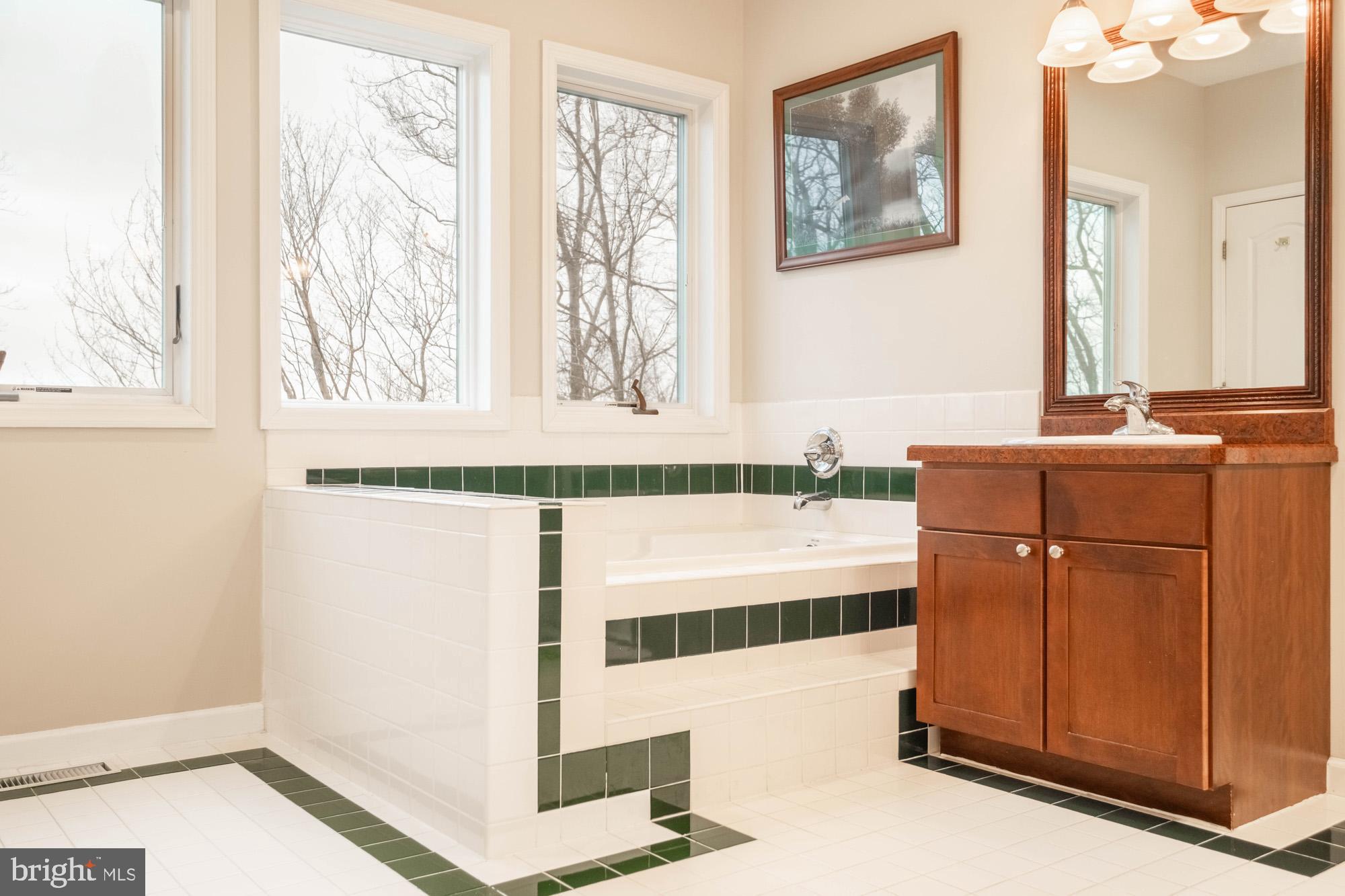 790 Sunset Ridge Drive McHenry, MD 21541 - Photo 39 of 74