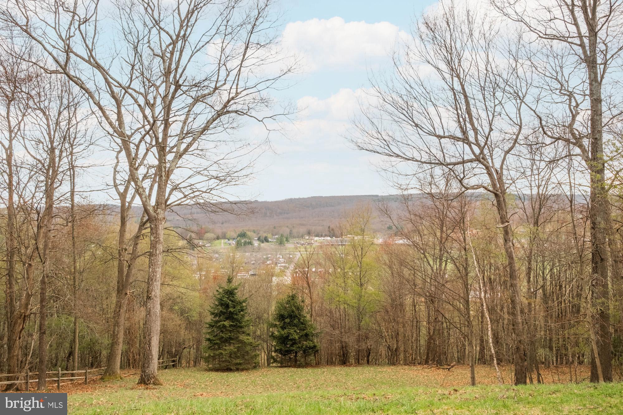 790 Sunset Ridge Drive McHenry, MD 21541 - Photo 70 of 74