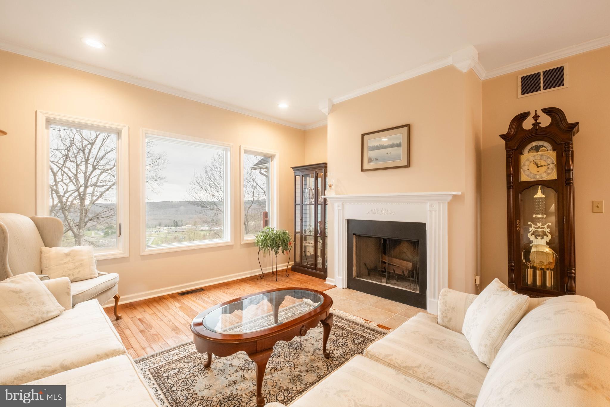 790 Sunset Ridge Drive McHenry, MD 21541 - Photo 7 of 74