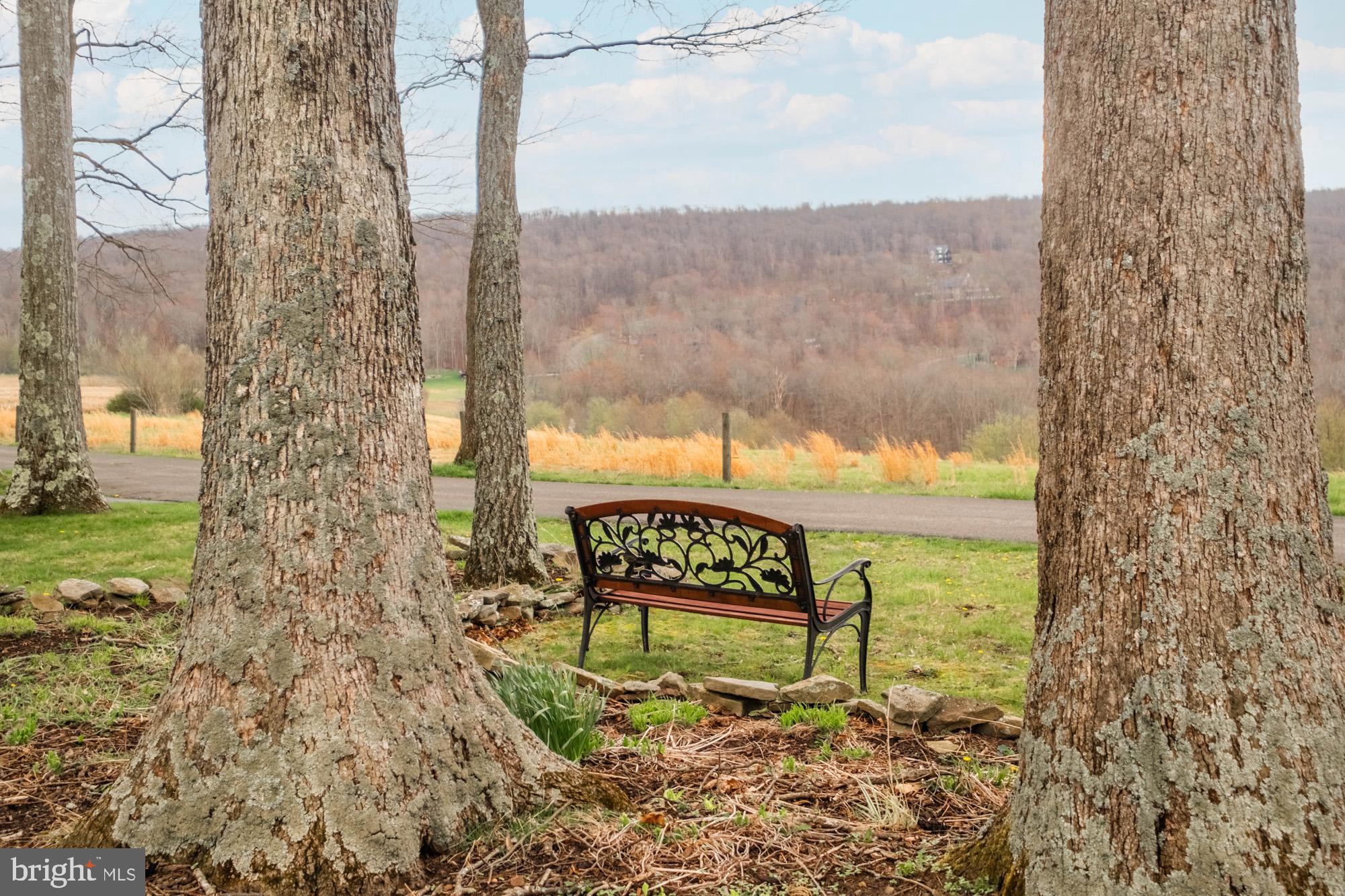 790 Sunset Ridge Drive McHenry, MD 21541 - Photo 71 of 74