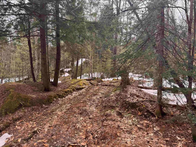 $99,900 | 0 Cross Road, Jay, VT 05859