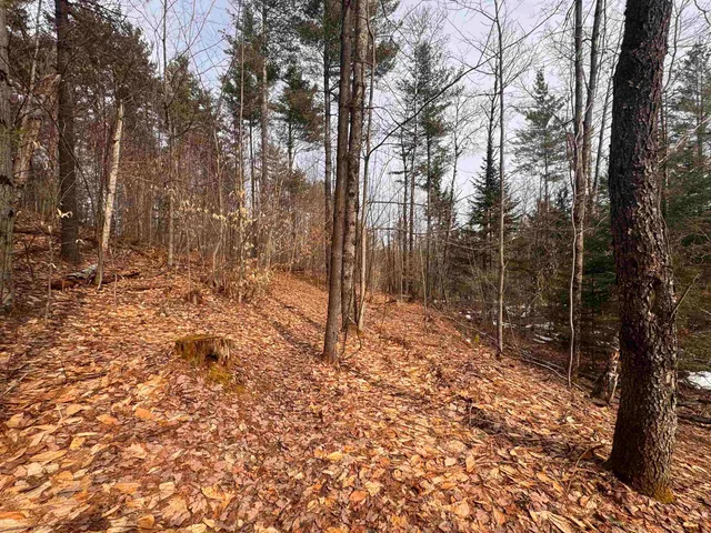 $99,900 | 0 Cross Road, Jay, VT 05859