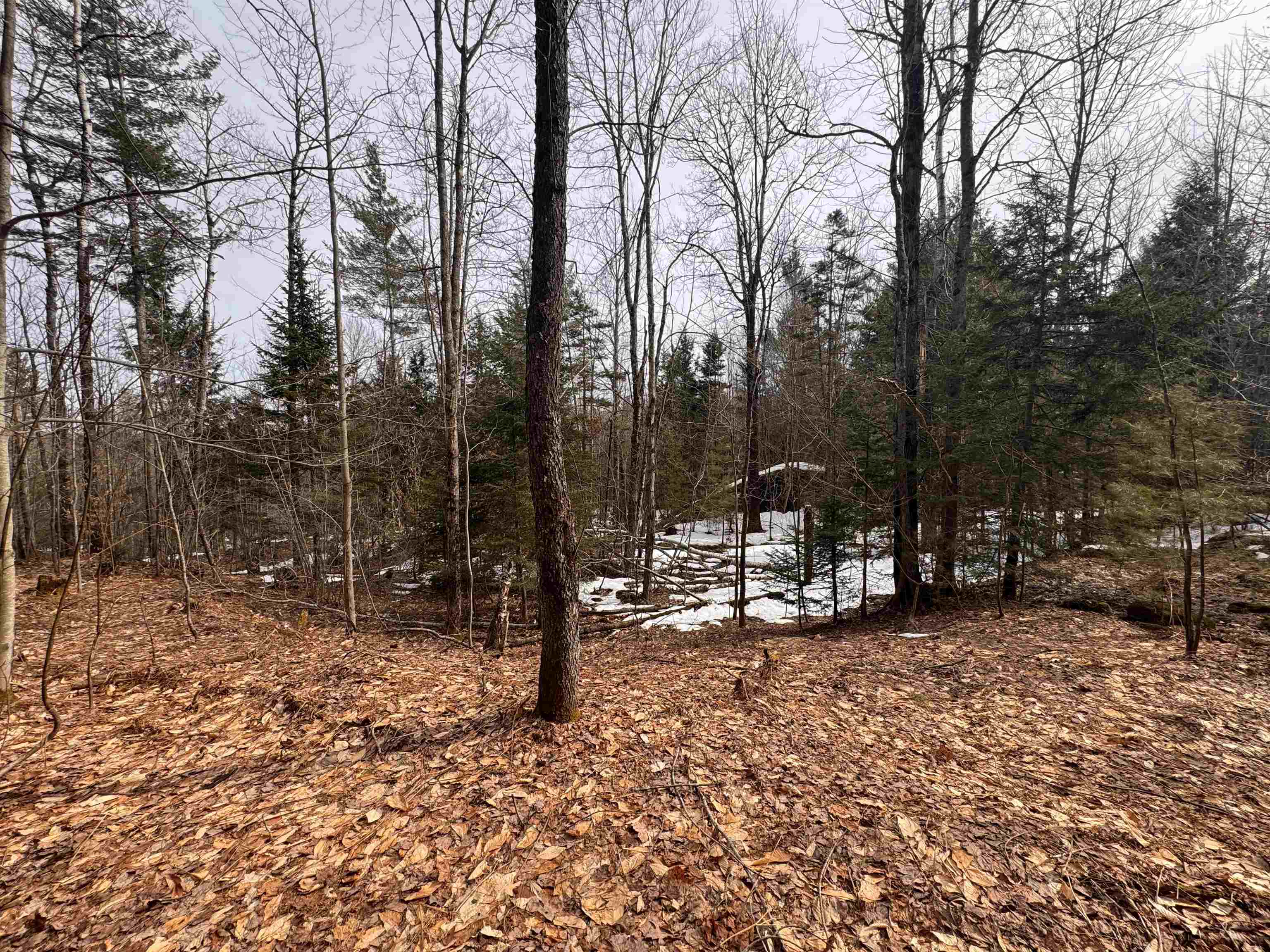 0 Cross Road Jay, VT 05859 - Photo 14 of 15