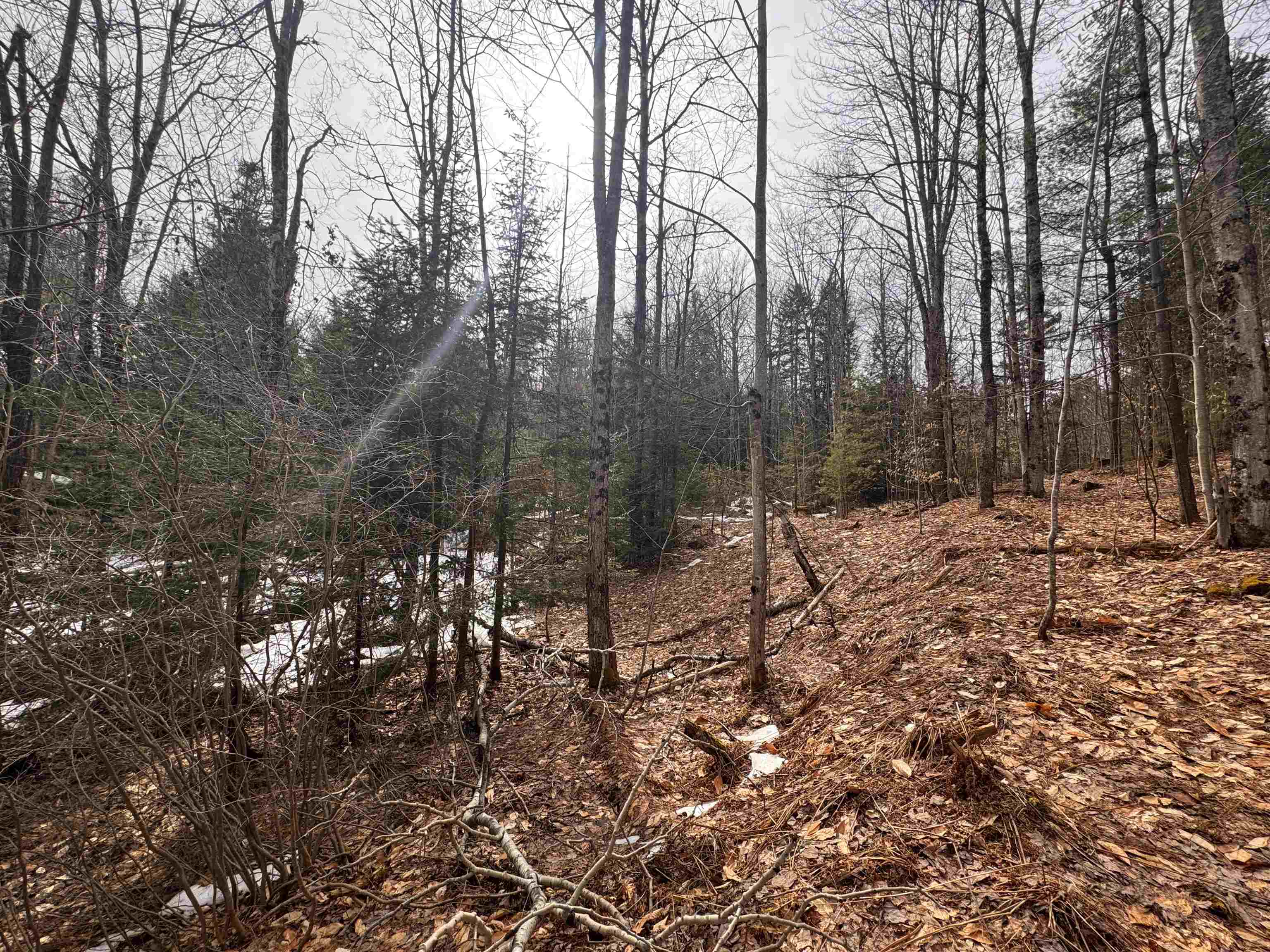 0 Cross Road Jay, VT 05859 - Photo 15 of 15