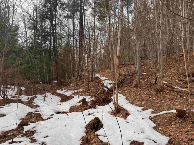 $99,900 | 0 Cross Road, Jay, VT 05859