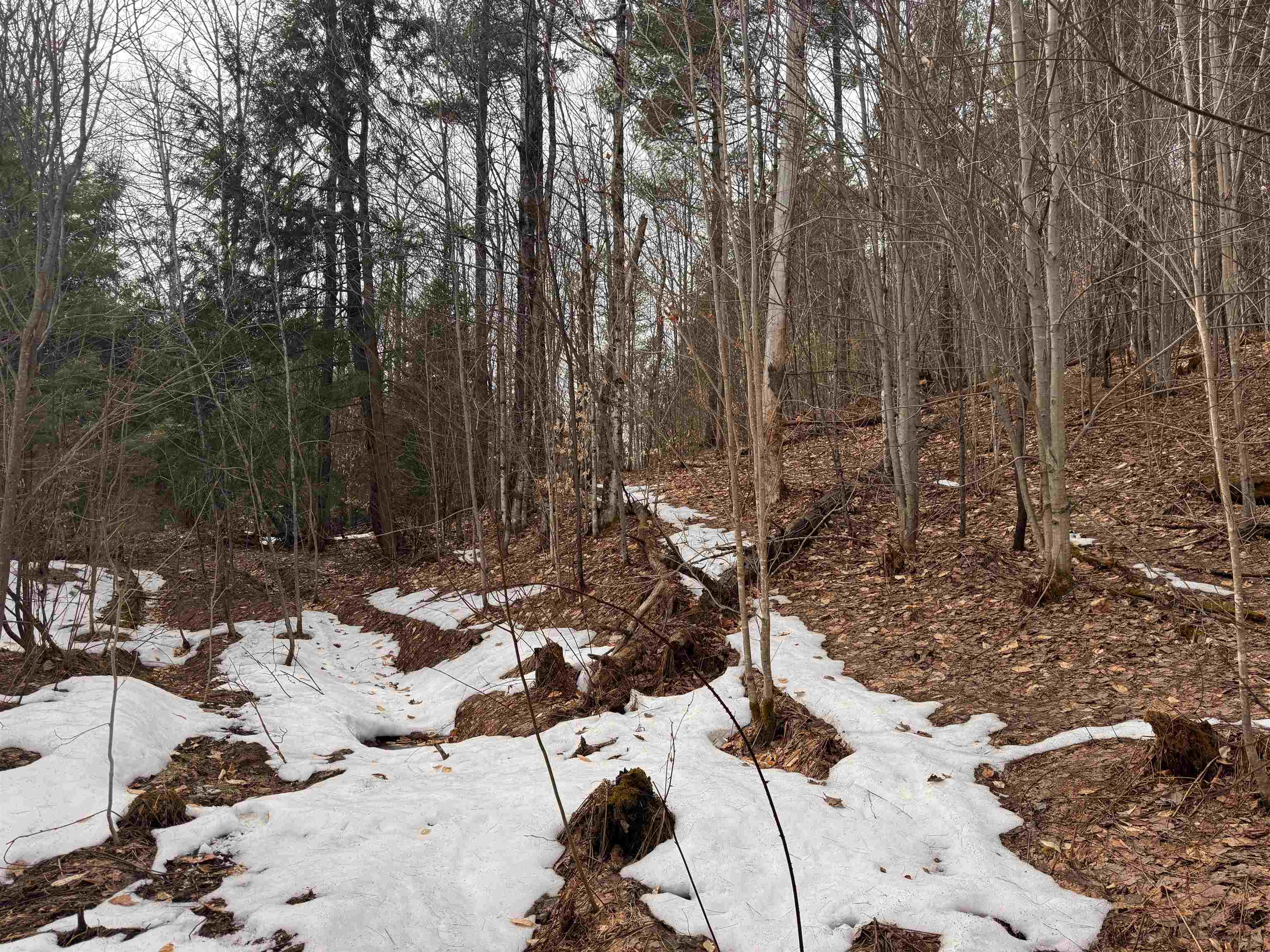 0 Cross Road Jay, VT 05859 - Photo 6 of 15