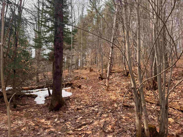 $99,900 | 0 Cross Road, Jay, VT 05859