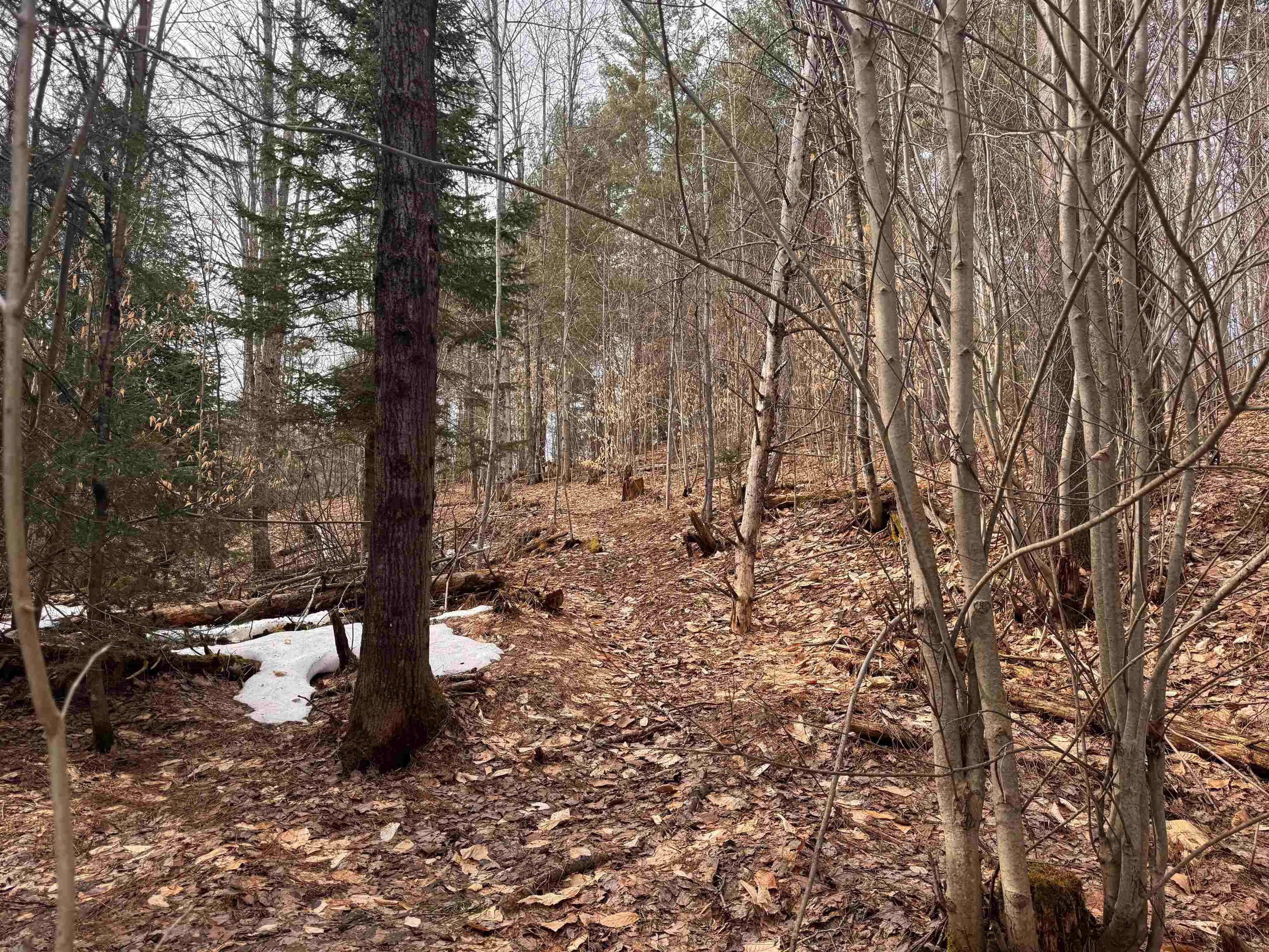 0 Cross Road Jay, VT 05859 - Photo 7 of 15