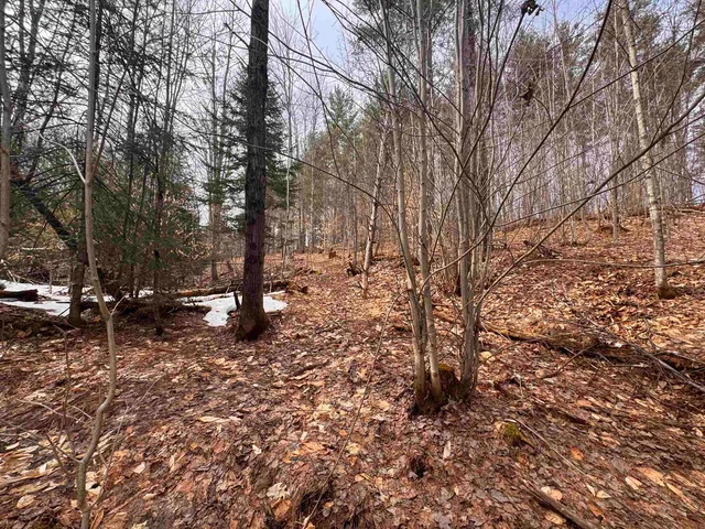 $99,900 | 0 Cross Road, Jay, VT 05859