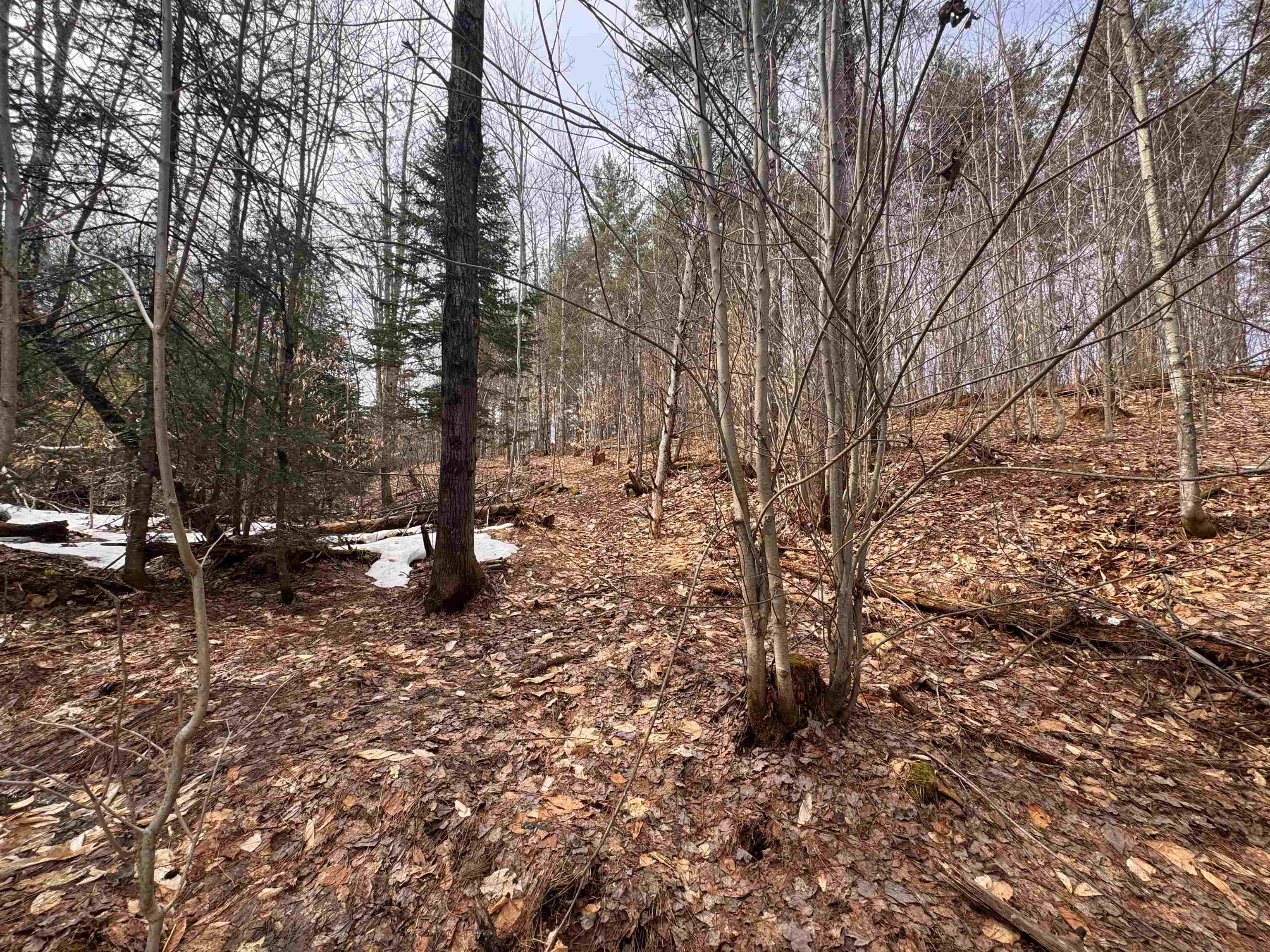 0 Cross Road Jay, VT 05859 - Photo 8 of 15