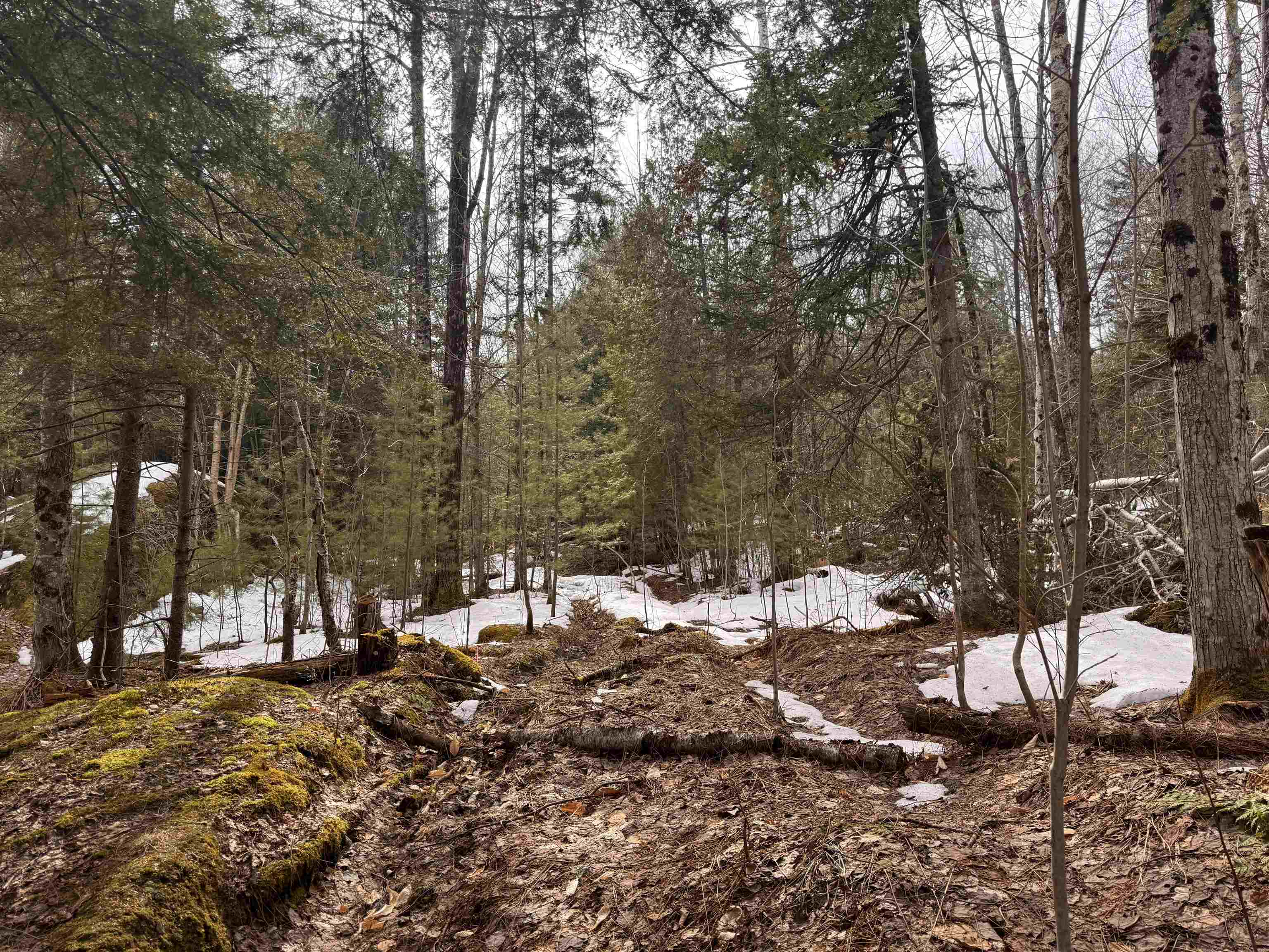 0 Cross Road Jay, VT 05859 - Photo 10 of 15