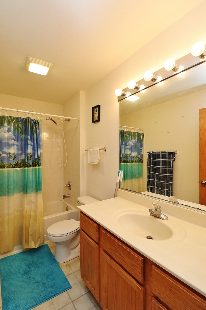 1982 Gary Court, Unit A Schaumburg, IL 60193 - Photo 17 of 21 a bathroom with a sink and mirror with shower