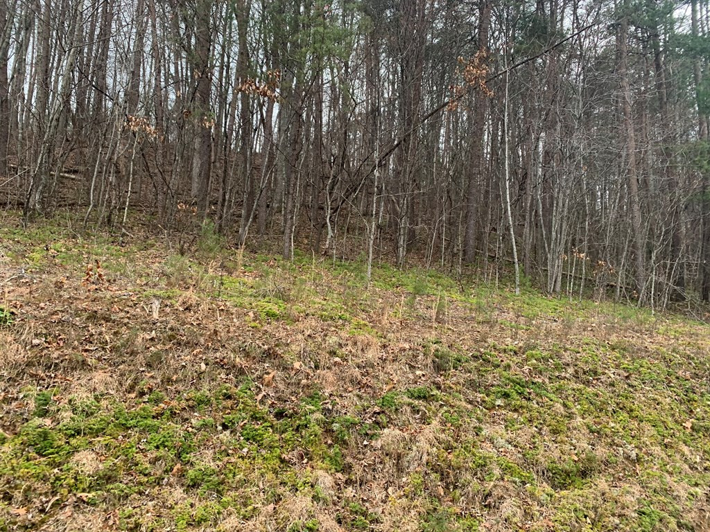 Lot 20 Wolf Ridge Lane Murphy, NC 28906 - Photo 24 of 27