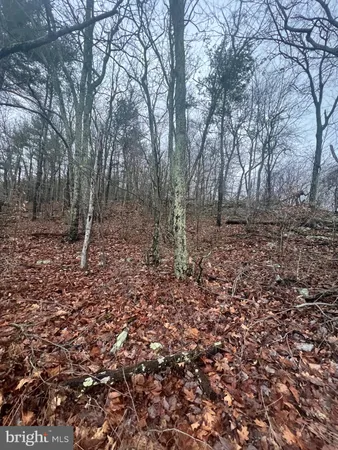 $32,500 | 17629 Shirleys Knob Road, Mapleton Depot, PA 17052