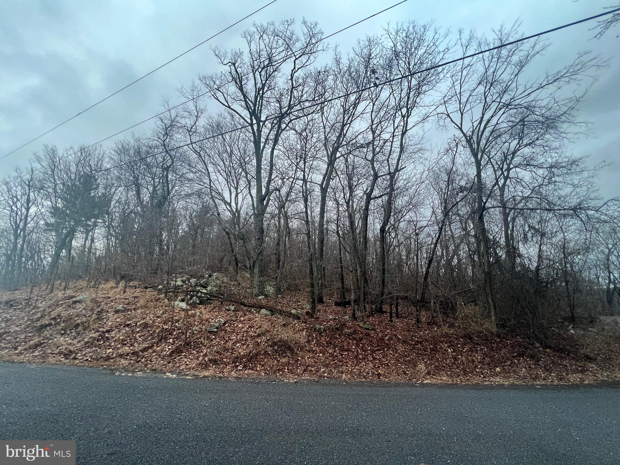 17629 Shirleys Knob Road Mapleton Depot, PA 17052 - Photo 4 of 6