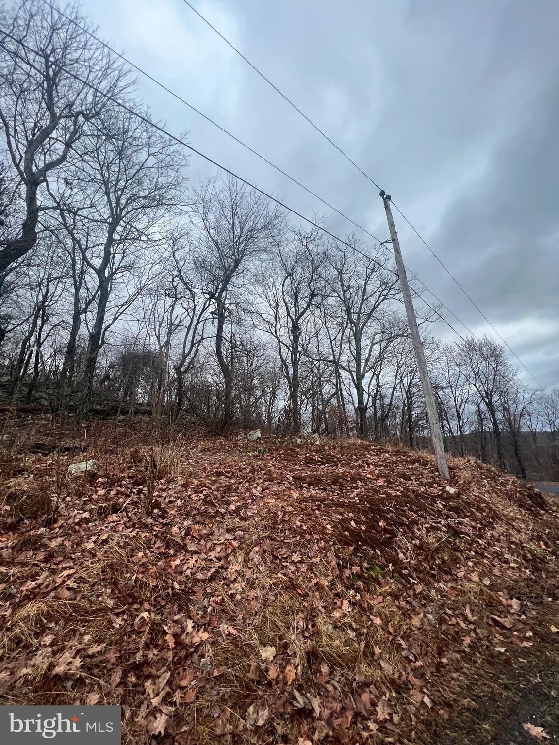 17629 Shirleys Knob Road Mapleton Depot, PA 17052 - Photo 6 of 6 a view of a yard