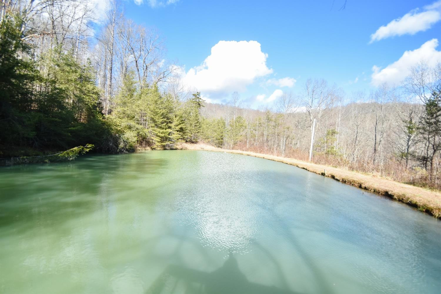 380 Bowen Road McKee, KY 40447 - Photo 3 of 74 Photo 3