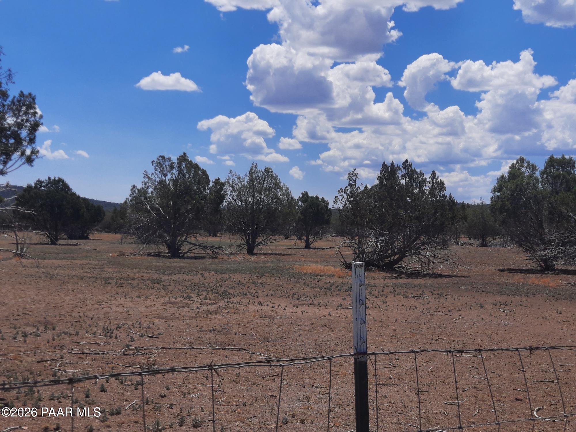44050 West Fort Rock Road Seligman, AZ 86337 - Photo 39 of 46 20260616_112416