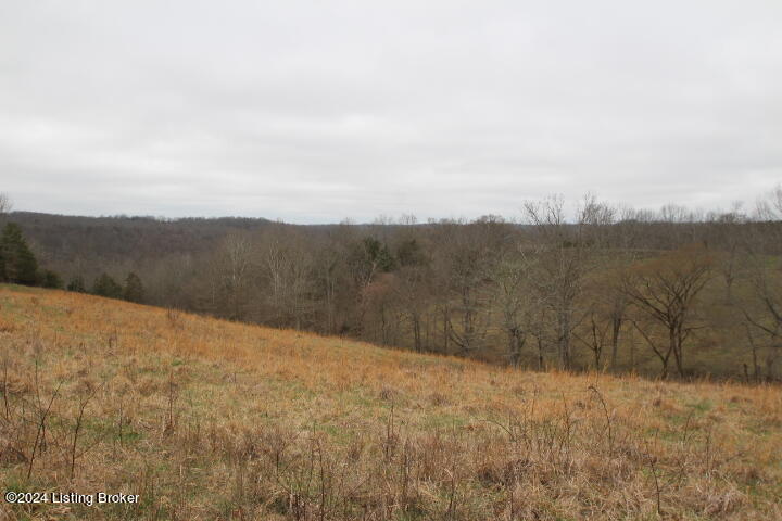 0 Timber Creek Road Lawrenceburg, KY 40342 - Photo 5 of 16 IMG_8047