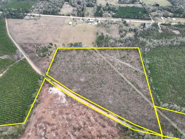 a view of swimming pool with a yard