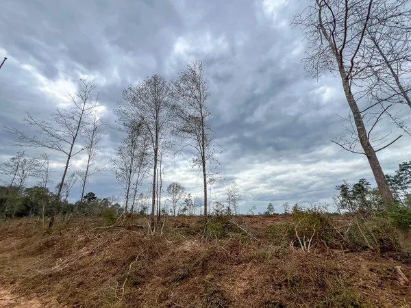 a view of a backyard of the house