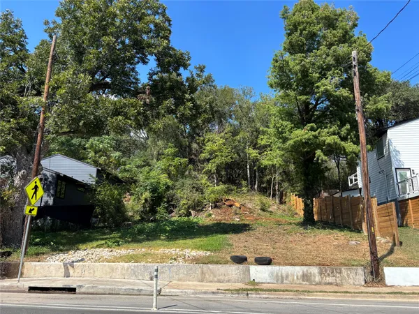 a view of a park with plants