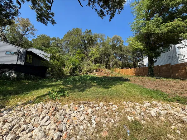 a view of a yard with plants and trees