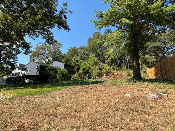 a view of a yard with plants and trees