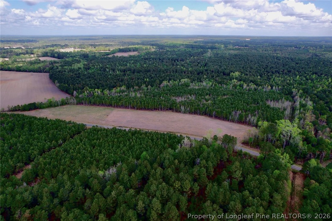 3331 Bogie Island Road Fayetteville, NC 28312 - Photo 10 of 10