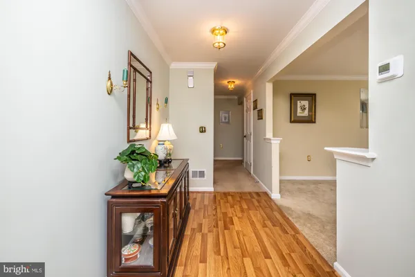 a view of a hallway to a livingroom with wooden floor and a potted plant