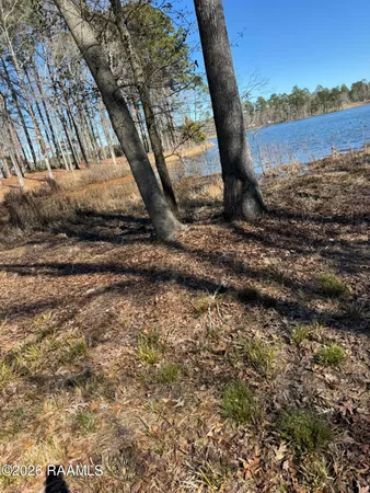 $270,200 | Lot 12 Ramsey Road, Chatham, LA 71226