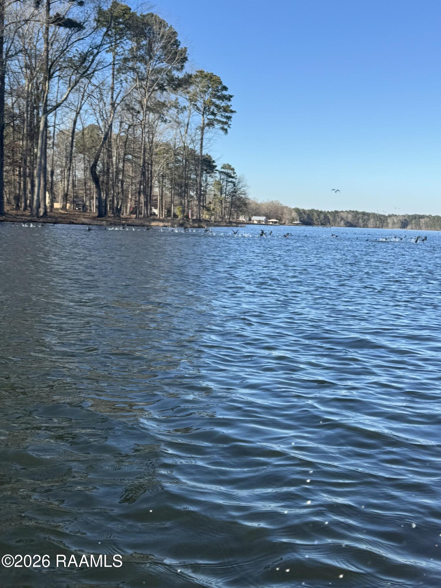 Lot 12 Ramsey Road Chatham, LA 71226 - Photo 3 of 5 IMG_0908