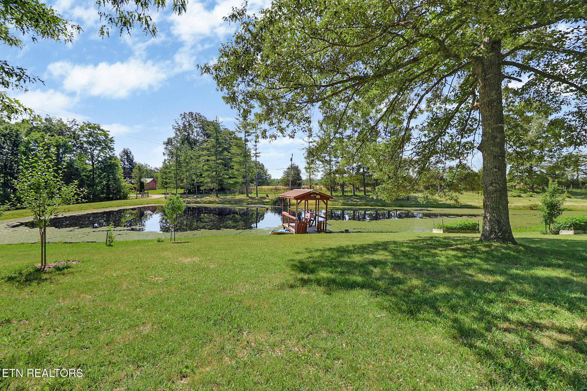 122 Frankfort Road Lancing, TN 37770 - Photo 37 of 60 Pond