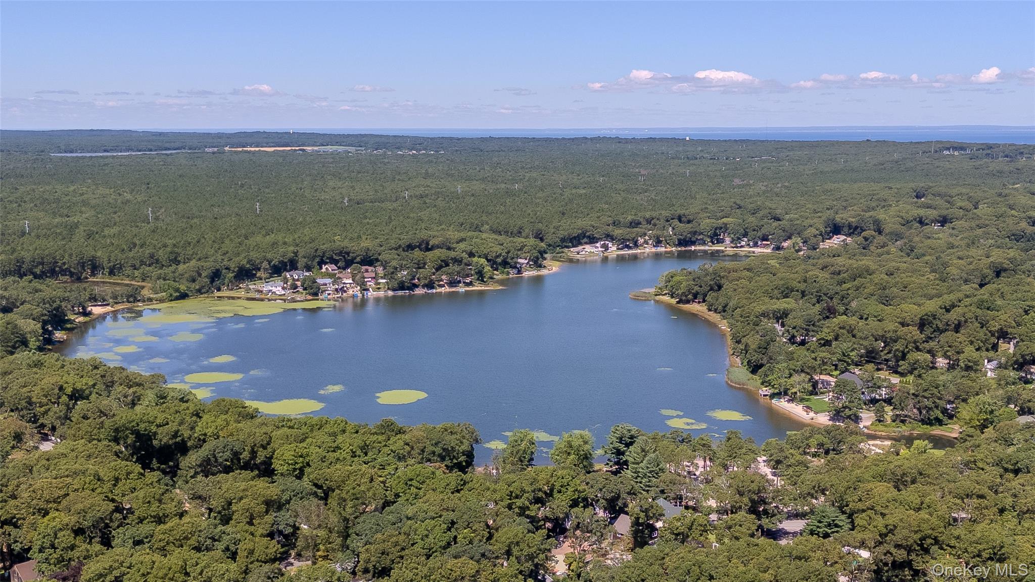 92 Wauwepex Trail Ridge, NY 11961 - Photo 3 of 29