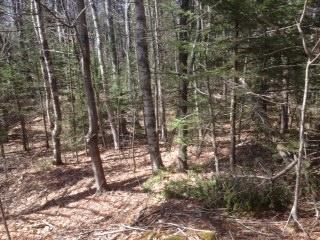 0 Harpswell Islands Road Harpswell, ME 04079 - Photo 5 of 5 Harpswell Island