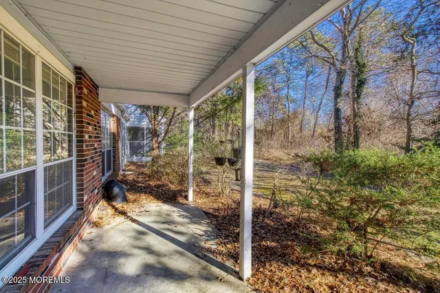 a view of a backyard with a large tree