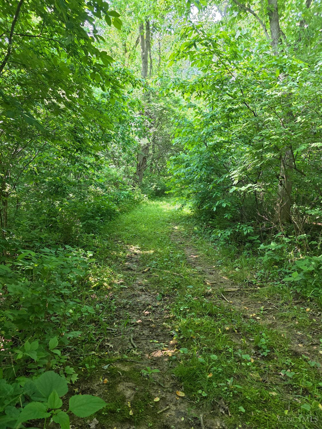 0 Fagins Run Road New Richmond, OH 45157 - Photo 13 of 28