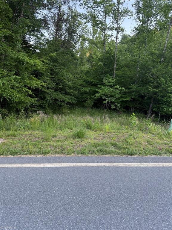 0 Puckett Road Westfield, NC 27053 - Photo 4 of 7
