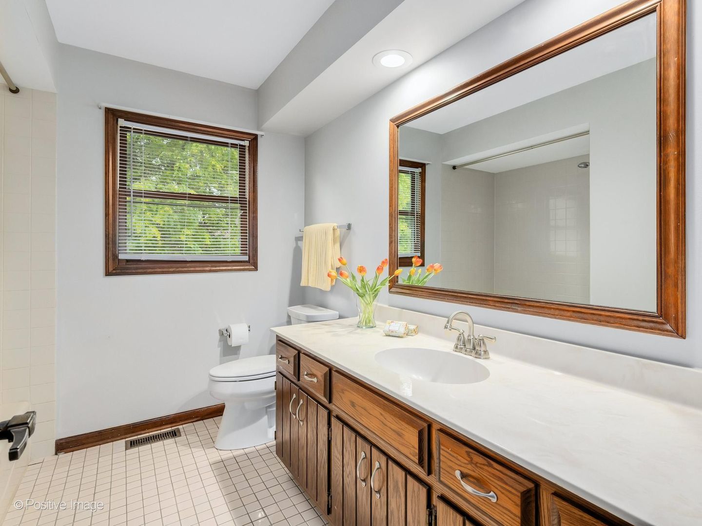 1799 Denison Road Naperville, IL 60565 - Photo 18 of 29