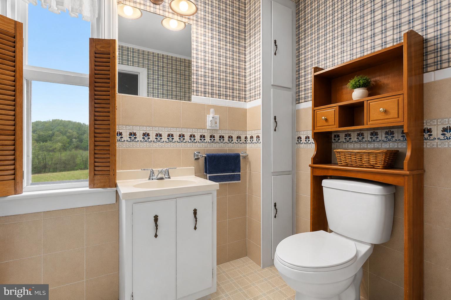 21006 Boonsboro Mountain Road Boonsboro, MD 21713 - Photo 13 of 28 Full Bathroom