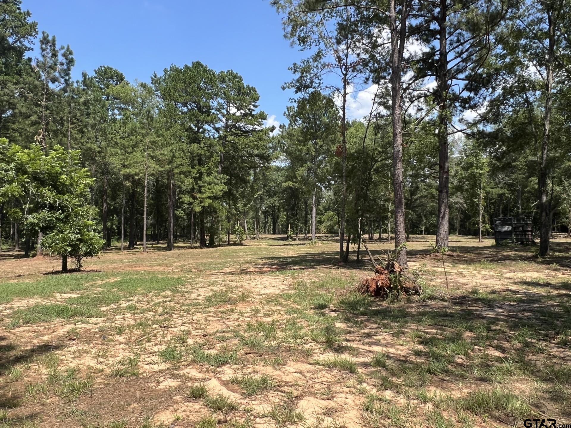Tbd Tbd 3311th Tyler Tx 75708 Winona, TX 75792 - Photo 1 of 12 a view of a tree in a yard
