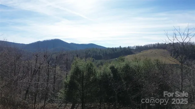a view of a mountain range with trees in the background