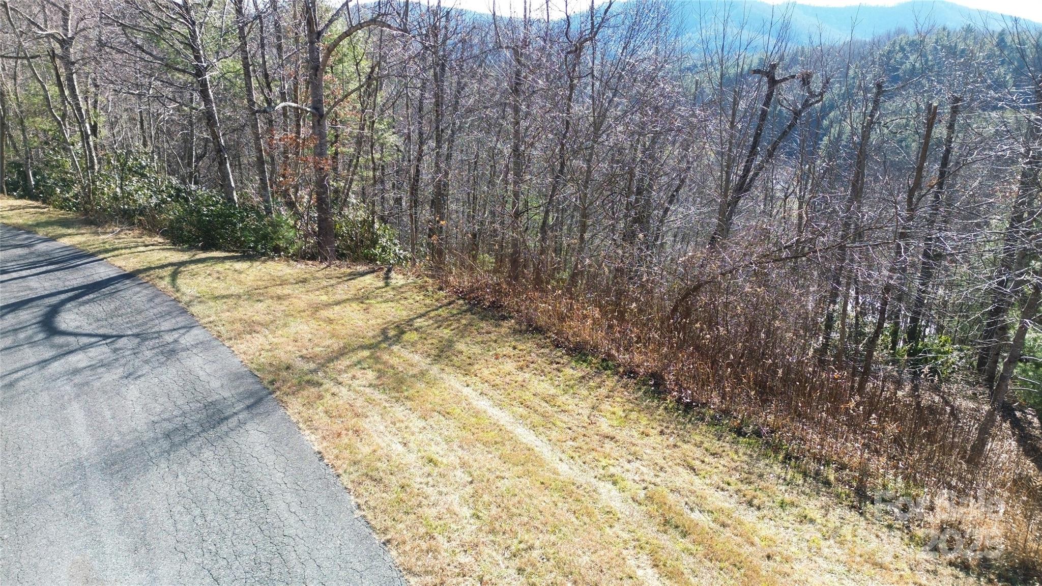 0 Old River Road West Jefferson, NC 28694 - Photo 11 of 12 a view of a yard with trees
