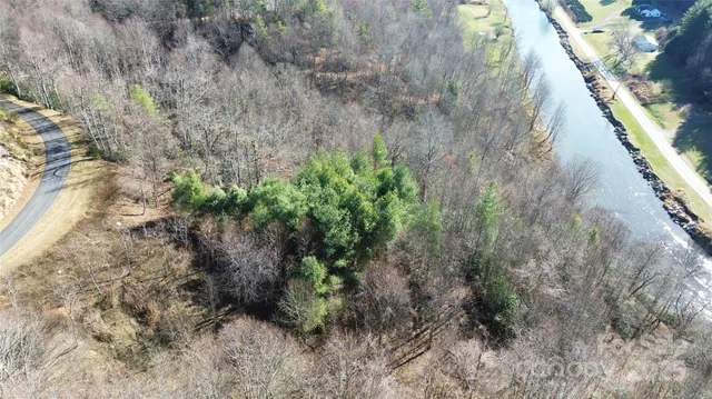 a view of a yard with plants and a bench