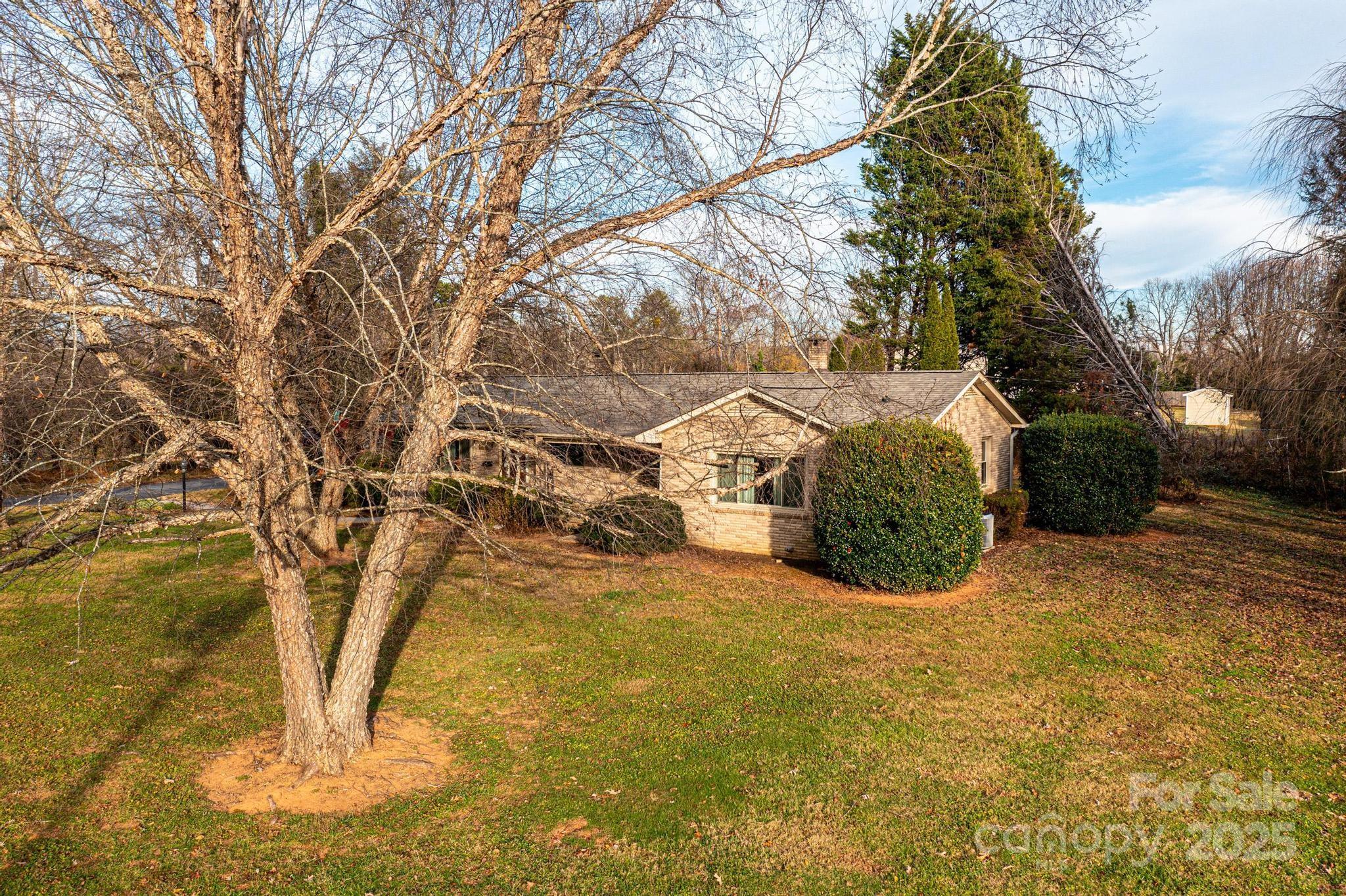 325 Sheldon Street Hudson, NC 28638 - Photo 17 of 33 a view of yard with large trees
