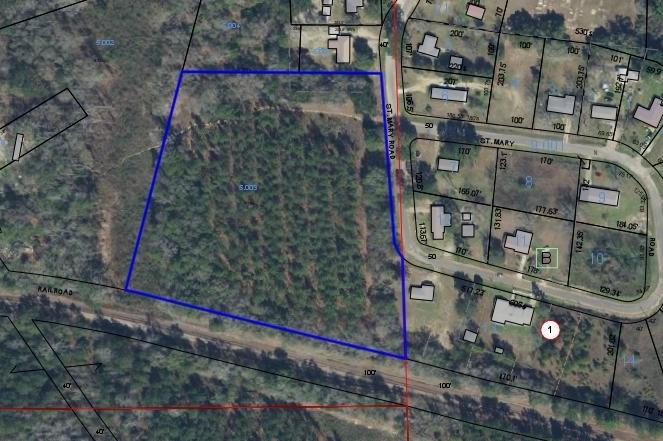 300 St Mary Road Gordon, AL 36343 - Photo 3 of 6
