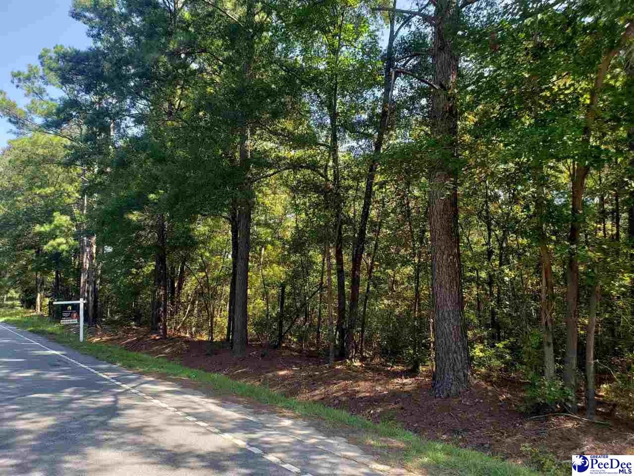 High Hill Road Darlington, SC 29532 - Photo 1 of 1 Gallery Image 1