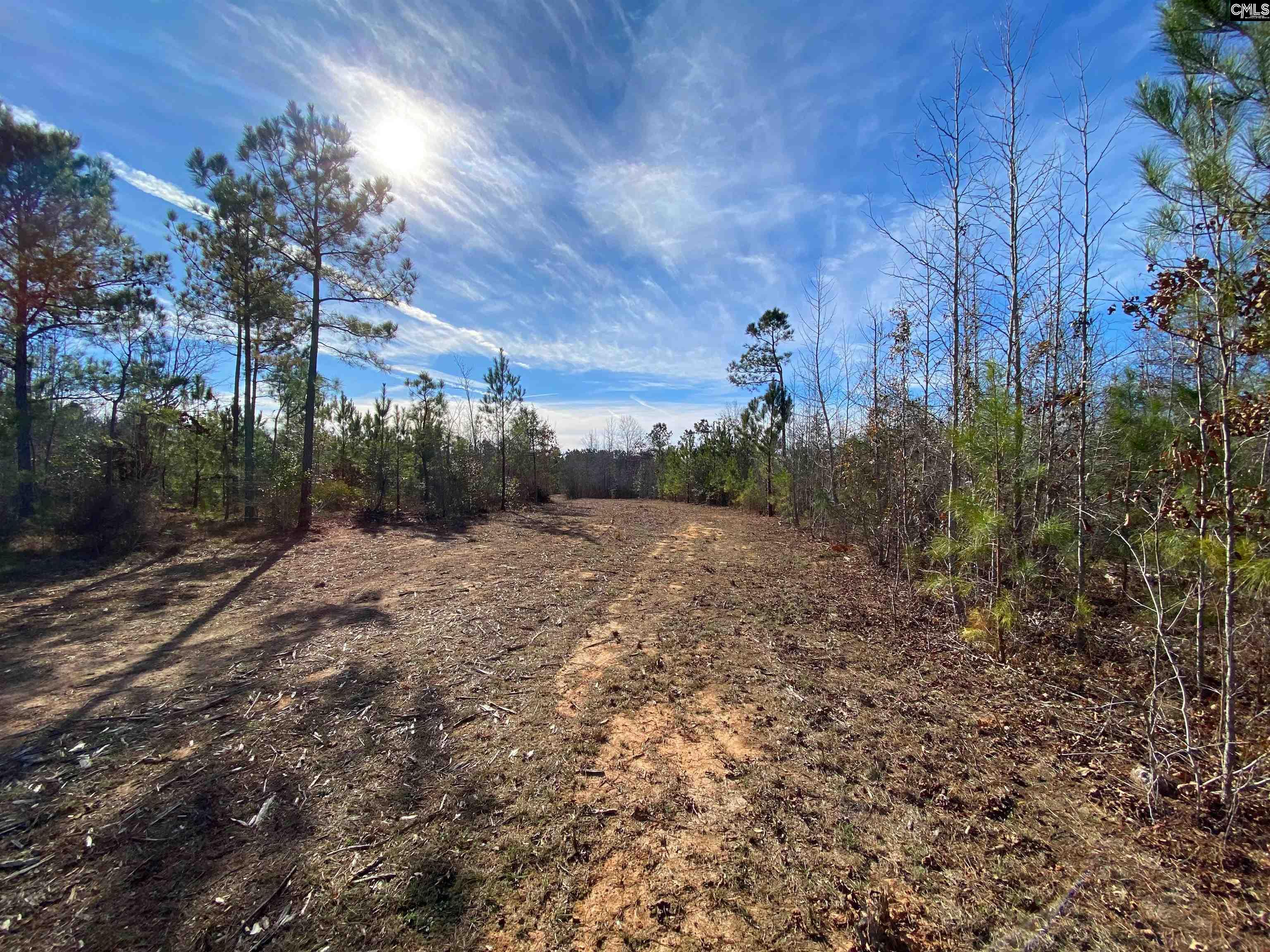900 Pineywood Road Saluda, SC 29138 - Photo 3 of 23