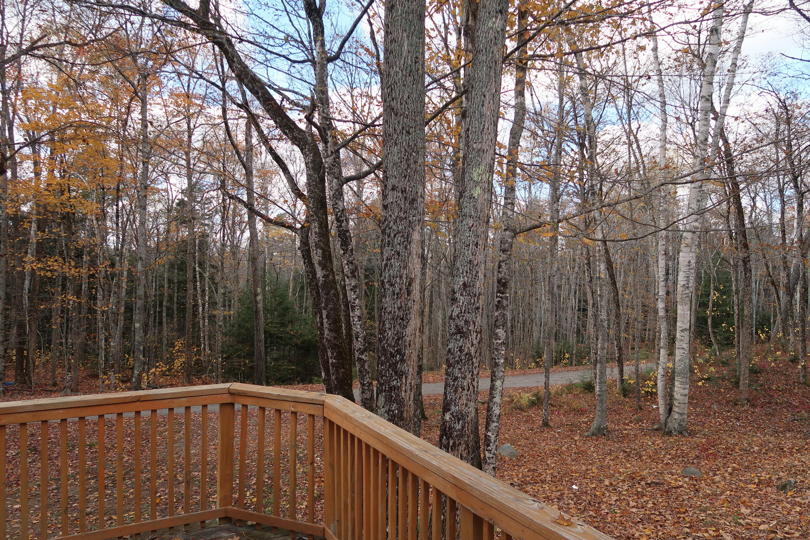 70 Nelson Ridge Road North Washington, ME 04574 - Photo 11 of 50 IMG_1670