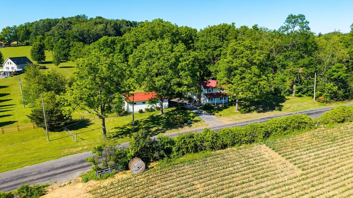 43 Sugar Loaf Road Staunton, VA 24401 - Photo 50 of 67